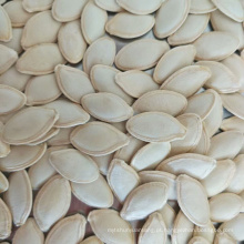Fábrica chinesa fornece sementes de abóbora com brilho orgânico
